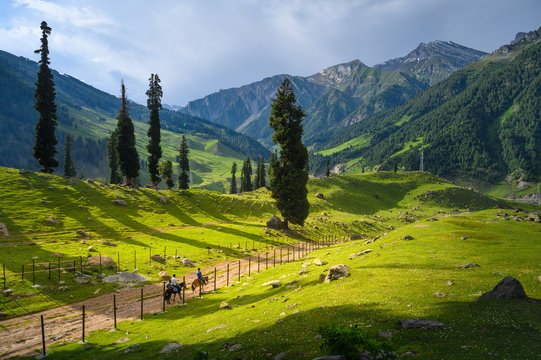 Beautiful landscape view of Sonamarg in Thajiwas park in Jammu and Kashmir, India