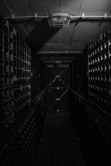 bodeja de vino con botellas en blanco y negro, tiene luz en la parte de arriba
