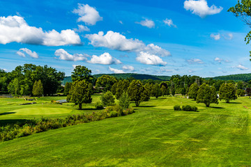 Landscape with Trees and Blue skies