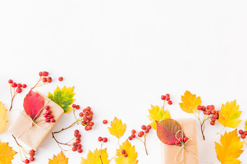 Flat lay border with colorful autumn leaves, berries and gift box on a white background
