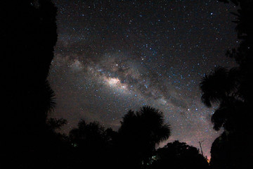 Milky way over the Amazon Jungle