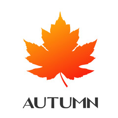 Logotipo con texto Autumn con hoja de arce en color naranja