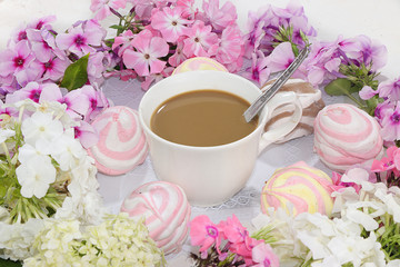 Colorful flowers of pink phlox, a cup of coffee and marshmallows on a light table, top view, flat lay, selective focus. Pink flowers on a light background, a gift for loved ones,