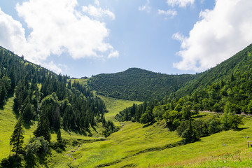 Fototapeta premium Der Gipfel des Martinskopf in den Bayerischen Alpen