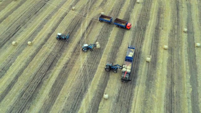 Aerial: Haymaking. Tractor collecting round bales of hay and loaded to truck. Agricultural Footage On the Field.