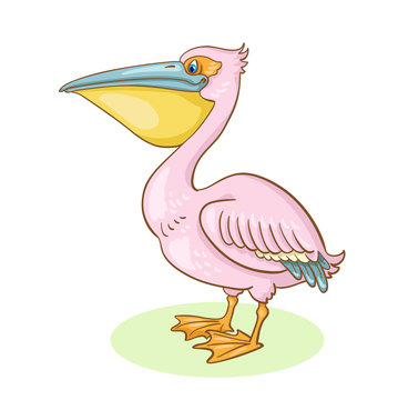 Pink pelican.  In cartoon style. Isolated on white background.