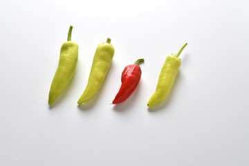 Chilli. Pods on a white background