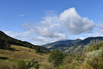 Fototapeta na wymiar Cantal, monts
