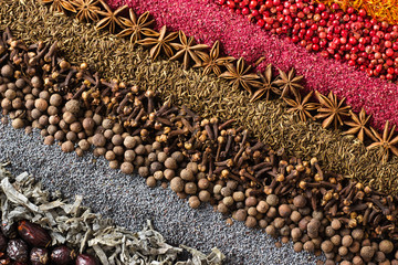 Spices and herbs background. Different seasonings are scattered in stripes color.