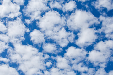 White clouds with blue sky. White clouds drifting across a bright blue sky.