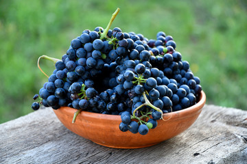Black grapes in a ceramic plate on an old board in the garden.