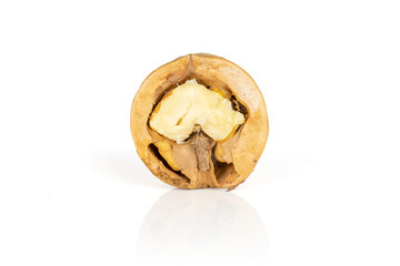 One half of ripe brown walnut isolated on white background