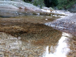Primeros planos y paisajes naturales