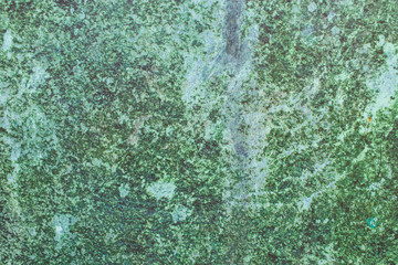 Green grunge painted wall surface worn weathered dirty old rough vintage background surface texture