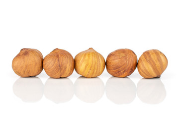 Group of five whole ripe brown hazelnut in row in closeup isolated on white background