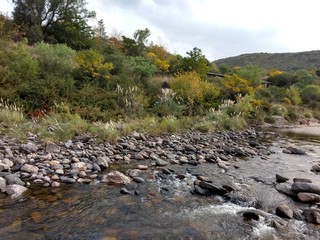 Primeros planos y paisajes naturales
