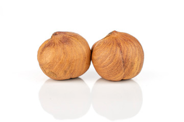 Group of two whole ripe brown hazelnut in closeup isolated on white background