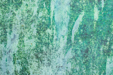 Green grunge painted wall surface worn weathered dirty old rough vintage background surface texture