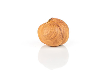 One whole ripe brown hazelnut in closeup isolated on white background