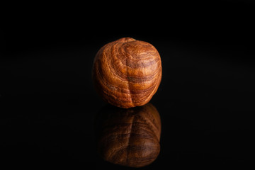 One whole ripe brown hazelnut in closeup isolated on black glass