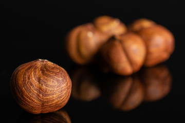Lot of whole ripe brown hazelnut in closeup isolated on black glass