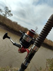 Primeros planos y paisajes naturales