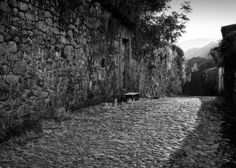Stone Wall and Cobblestone Road in Morning Light