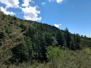 Primeros planos y paisajes naturales