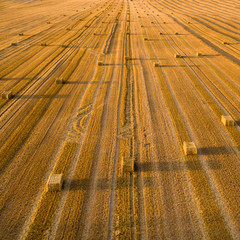 Aerial view of cereal fields after the harvest. There is haystack and tractor tread
