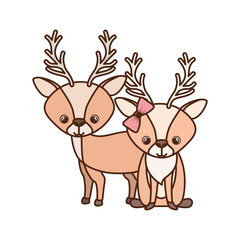 cute couple of deers on white background