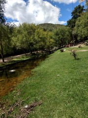 Primeros planos y paisajes naturales