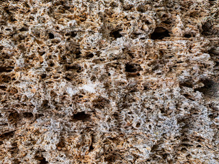 A rock. Texture. Building stone limestone. Porous surface. Background. Abstraction. Close-up.