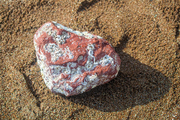 Red stone with fossils in the sand at beach