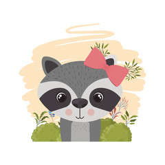 cute and adorable raccoon with white background