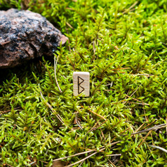 Scandinavian rune of Berkan (new idea, baby), on wet moss. The concept of predicting the future, an ancient way of divination.