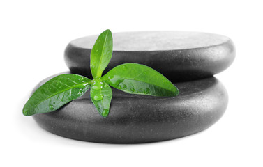 Spa stones and leaves with water drops on white background
