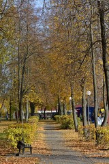 Naklejka premium Pedestrian road in the autumn park. Bright colorful leaves on tree branches in autumn.