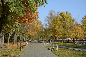 Pedestrian road in the autumn park. Bright colorful leaves on tree branches in autumn.