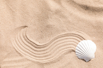 Fototapeta na wymiar Seashell on beach sand with wave pattern, top view. Space for text