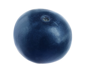 Fresh raw ripe blueberry isolated on white