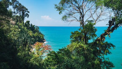 Fototapeta na wymiar Picturesque top view to the tropical trees on the rocky beach and blue sea, Khao Lak-Lam Ru National Park, Phang-nga, Thailand.