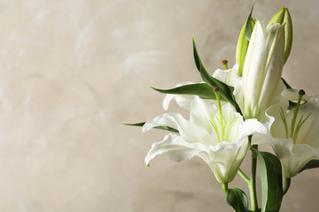 Beautiful lilies on light brown background, space for text