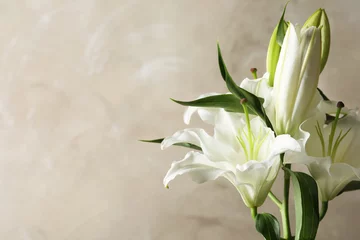 Foto op Plexiglas Beautiful lilies on light brown background, space for text © New Africa
