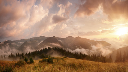 Foggy morning landscape