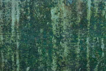 Green grunge painted wall surface worn weathered dirty old rough vintage background surface texture