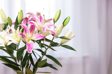 Bouquet of beautiful lilies on blurred background. Space for text