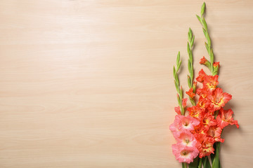 Flat lay composition with beautiful gladiolus flowers on wooden background. Space for text