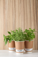 Seedlings of different herbs in paper cups with name labels on white table near wooden wall. Space for text