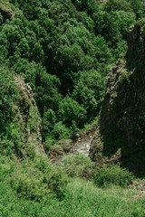 Mountain landscape. Natural background. Forest. Summer