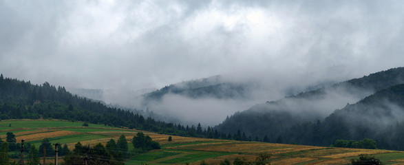Fototapeta premium Foggy carpathian mountains behind the fields of wheat early morning